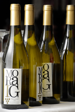 Vino Moraig