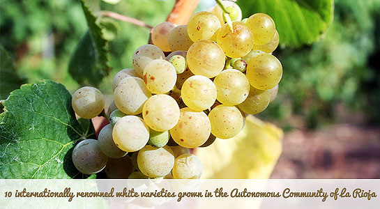 Maetierra muscat-wine-white-libalis