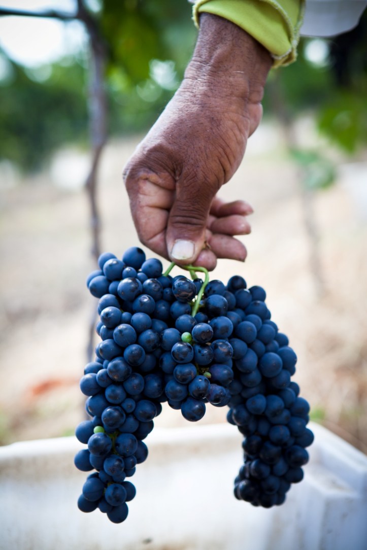 Sao Francisco Brazil