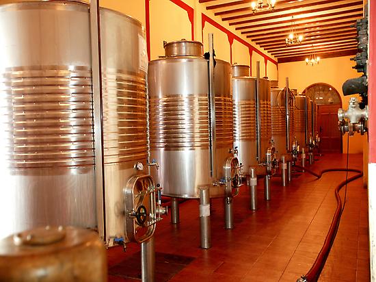 bodegas-castano-yecla