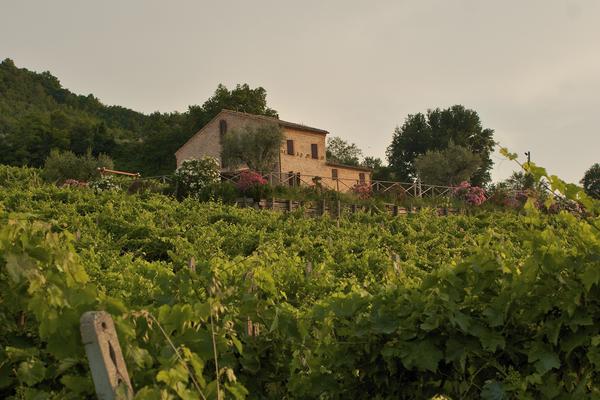 Centanni_Agriturismo_grande