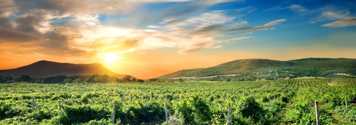 Marche Panorama FB WOM