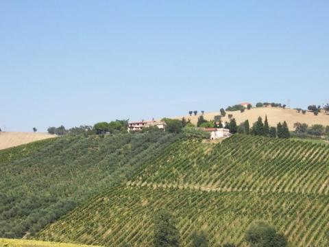 Rio Maggio Azienda_large