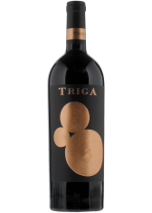triga-alicante