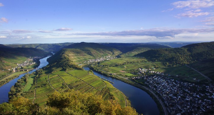 mosel-vineyards-wine-folly