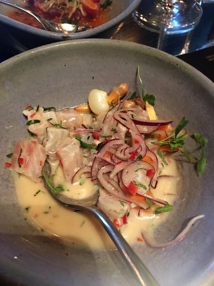 Ceviche 2 Coya