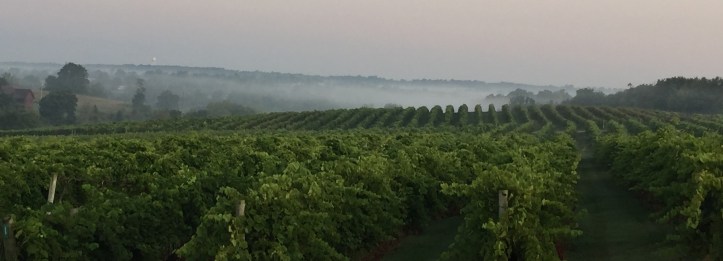 Lovers-Leap-1800x650 Kentucky