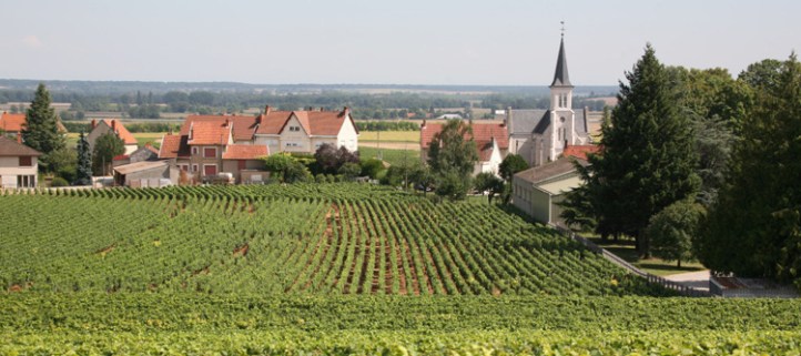 Gevrey Chambertin