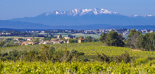 Caves de Paris Domaine Magellan