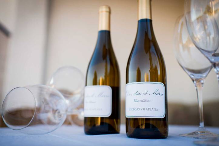 Bodegas Vilaplana 12 Dias de Marzo Blanco