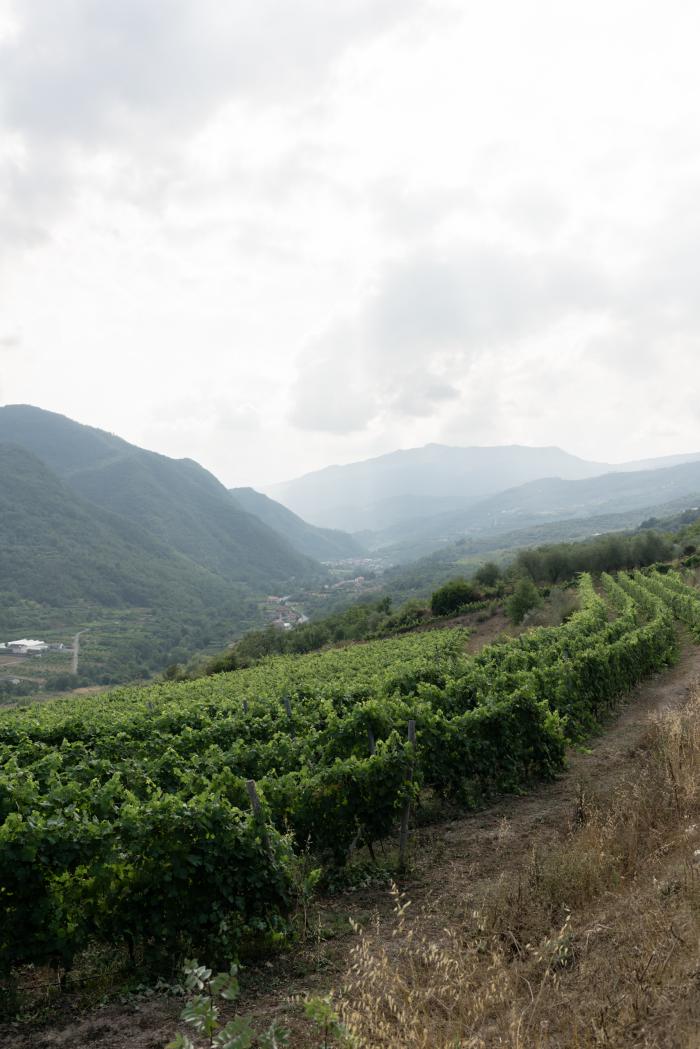 Hillside Vineyards Durin