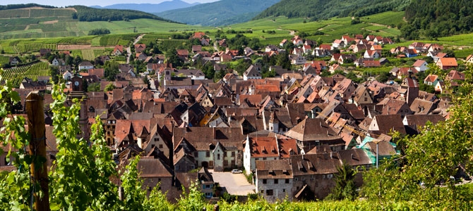 Wines of Alsace Photo