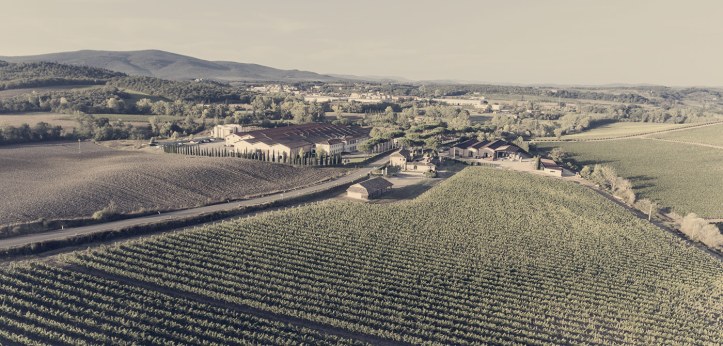 territorio-cecchi-image_1