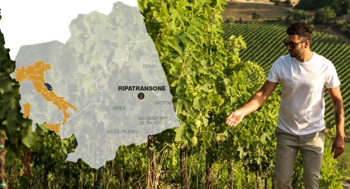 Marco Vines Map from website