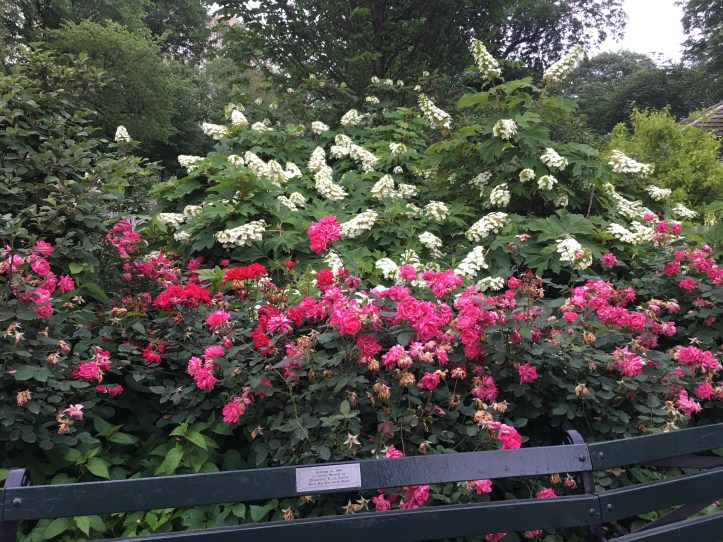 Explosion of Color Monday am