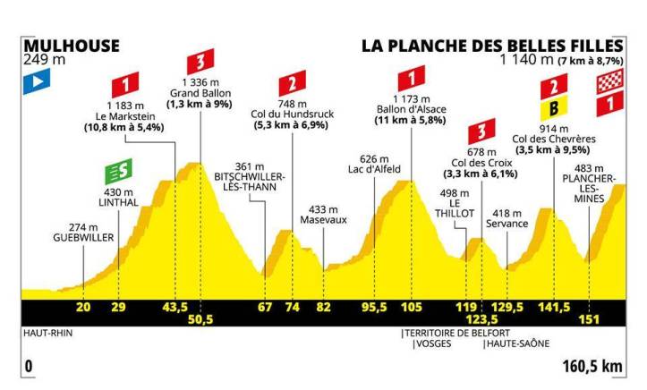 Stage 6 Profile