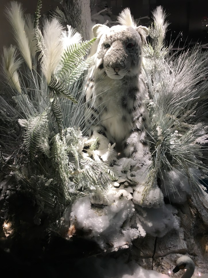 Snow Leopard at ML