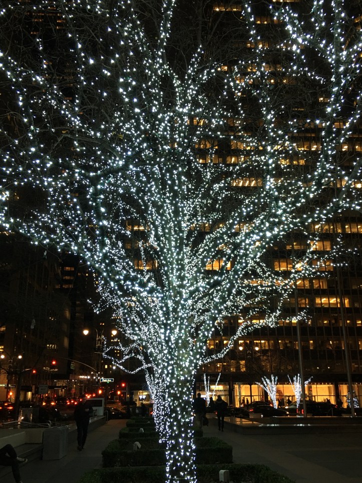 Tree at 51st and Park