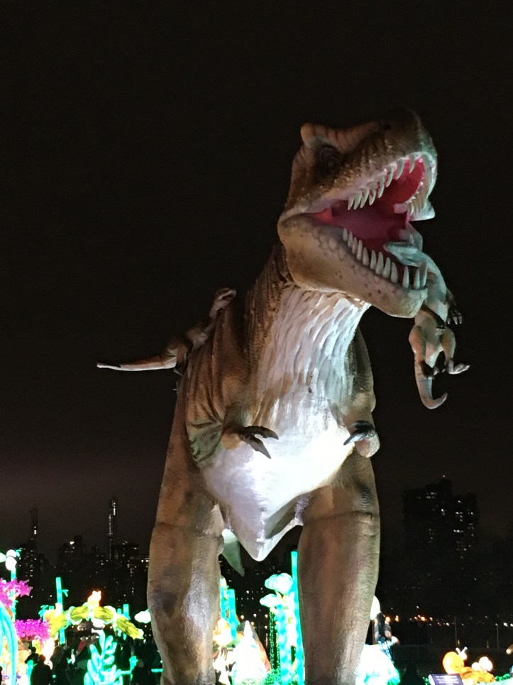 T Rex Close Up